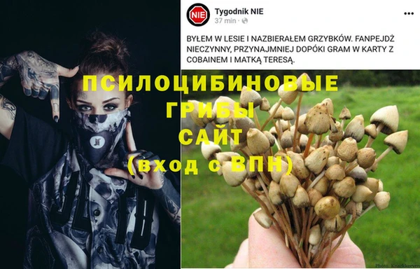 мяу мяу мука Алексин