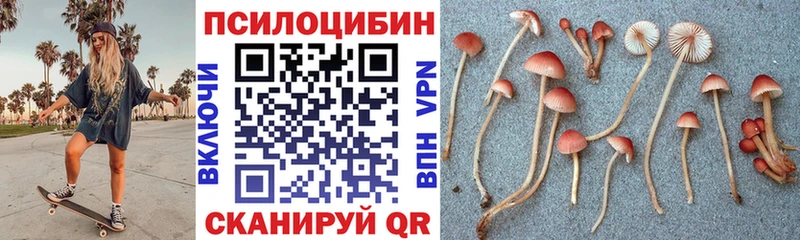 Псилоцибиновые грибы мухоморы  наркотики  Сургут 